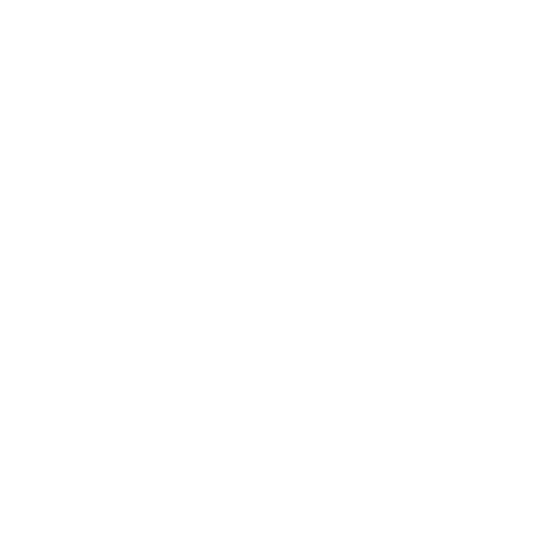 Verena Amerhauser Fotografie